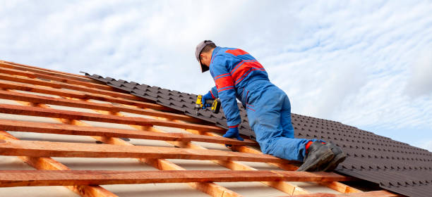Best Roof Maintenance and Cleaning  in Cambridge, NE